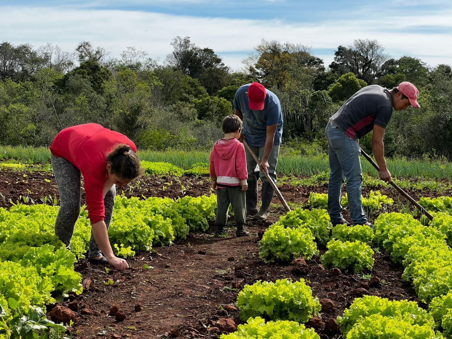 Ley De Parques Sustentables Para La Producci N Agroecol Gica Un Paso