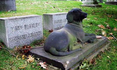 Concejal posadeño propuso crear un cementerio de mascotas