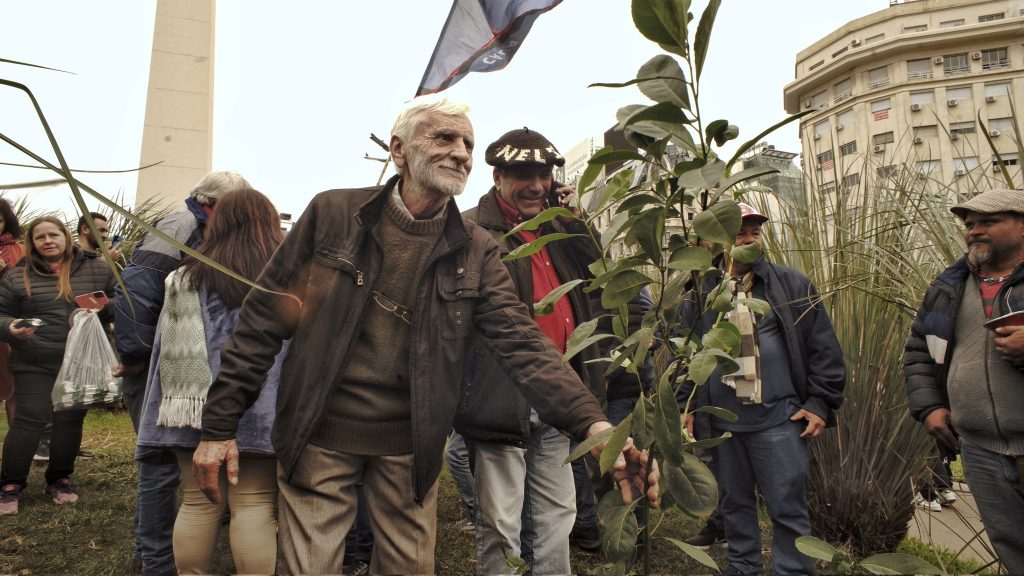 Productores hicieron mateada y plantaron un árbol de yerba en el Obelisco