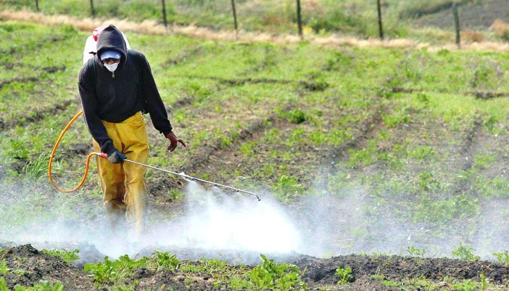 Extienden hasta 2030 el uso de glifosato para productores misioneros