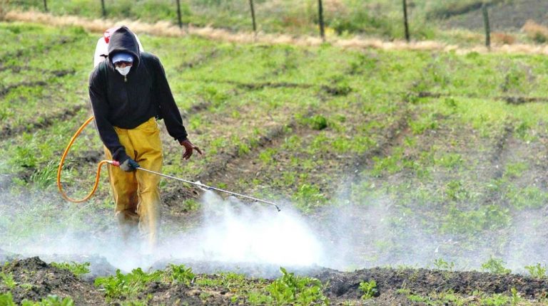 Extienden hasta 2030 el uso de glifosato para productores misioneros