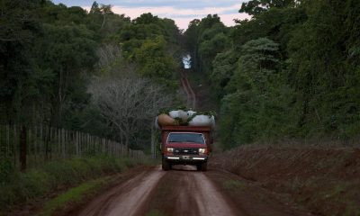 Desregulación yerbatera: la Afip ya no exigirá “hoja de ruta”