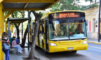 paro colectivos