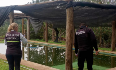 Bebé de 1 año murió ahogado en una piscina en Campo Grande