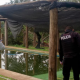 Bebé de 1 año murió ahogado en una piscina en Campo Grande