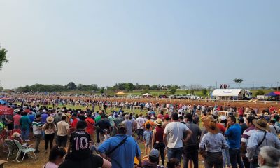 Caballo muere durante una de las carreras de la Copa Challenger