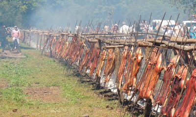 Festival Lechón