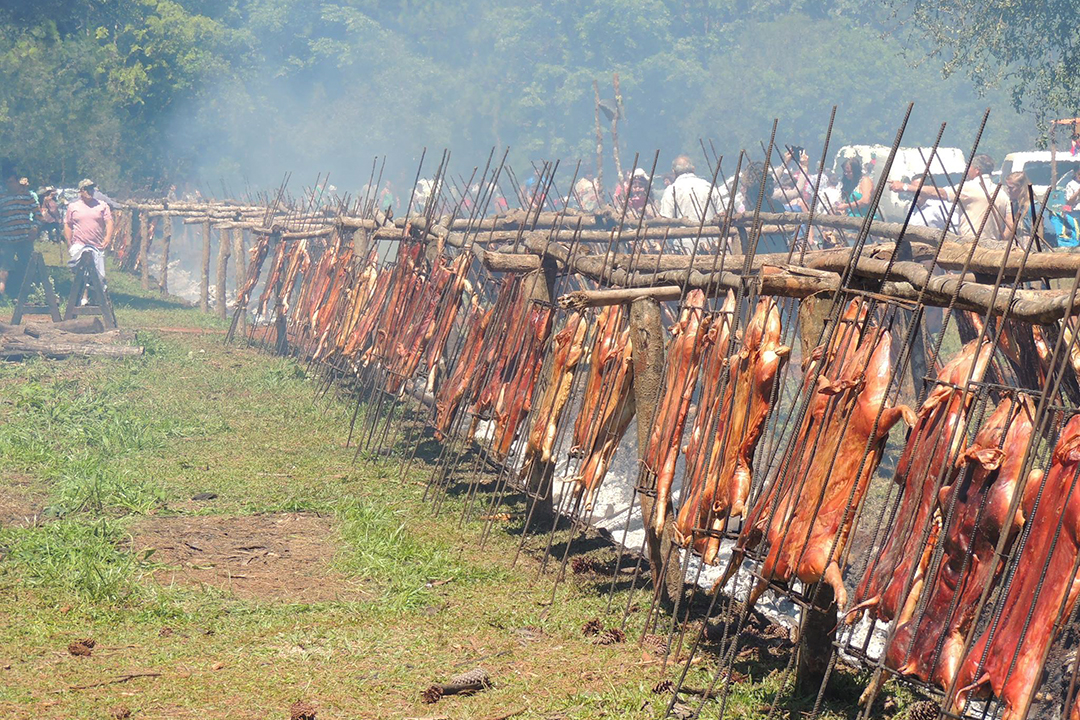 Festival Lechón