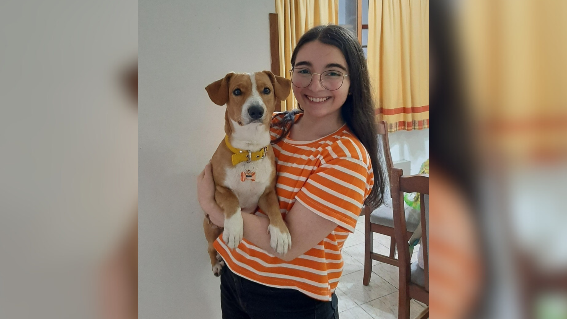 Un perro rescatado del abandono se transformó en el embajador de Animal World