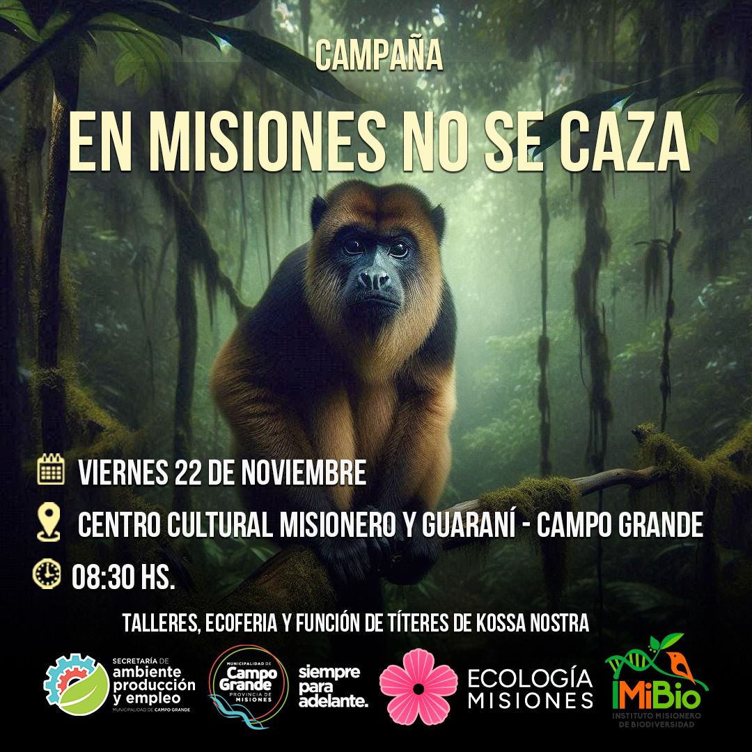 Ecología lanza jornada sobre desarrollo de gestión en Campo Grande imagen-8