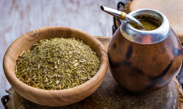 genoma yerba mate