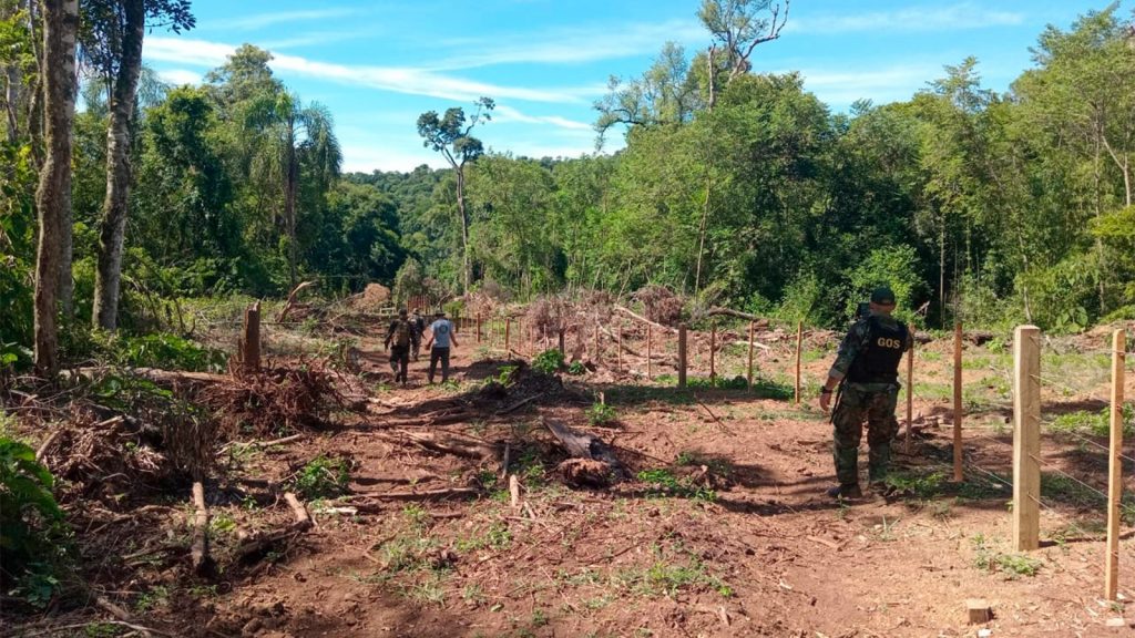 Trasladan a guardaparques y apuntan a madereros por apeo ilegal en Piñalito