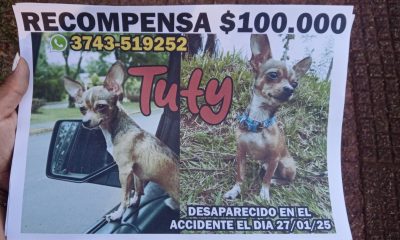 recompensa por tuty